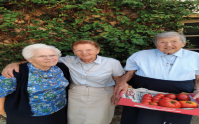 Visite du sézannais et balade au bord du lac